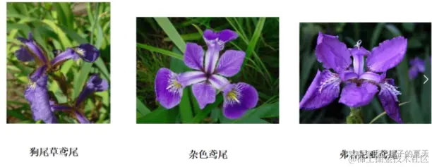 python上手机器学习算法 & 生成式AI使用的