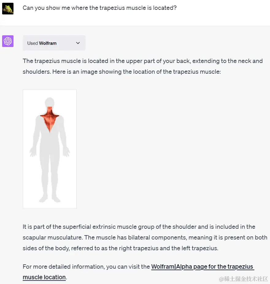 Wolfram深度测评: 让ChatGPT拥有专家级的超强大脑