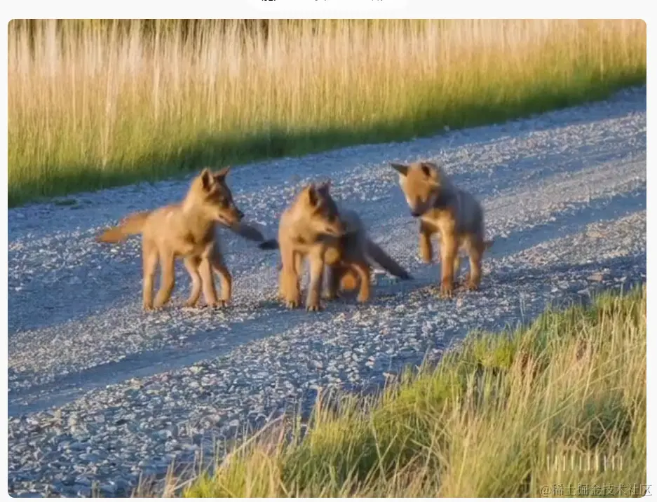 炸裂，OpenAI视频生成模型SORA发布！彻底颠覆视频制作行业？