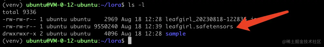 Lora训练实战-第2章节