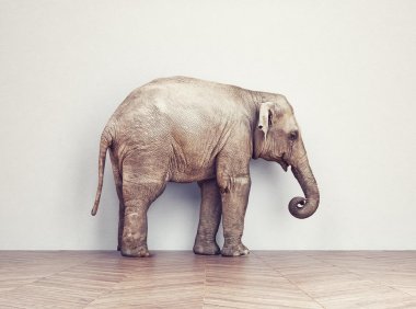 永恒之塔4.6真端 GM命令