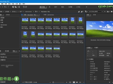Adobe Bridge 2024 14.0.4.222 (影象管理) 破解版 – 奈斯科技軟體