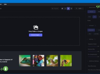 Topaz Gigapixel AI 7.1.2 (AI放大圖片) 英文綠色版 – 奈斯科技軟體