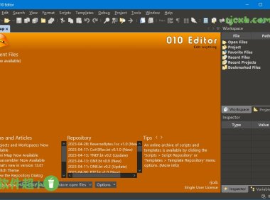 SweetScape 010 Editor 13.0.2 (文字編輯器) 破解版 – 奈斯科技軟體
