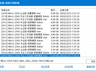 Windows11 Win11 23H2 22631.3155 30in1 TWM000 – 奈斯科技軟體