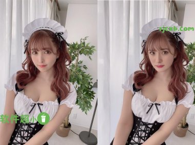 AI人臉替換工具 5.6 離線整合包 (AI換臉) 綠色版 – 奈斯科技軟體