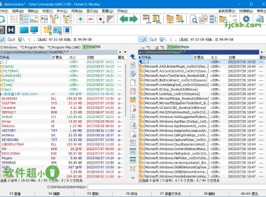 Total Commander 11.03 (檔案管理器) 綠色版 – 奈斯科技軟體