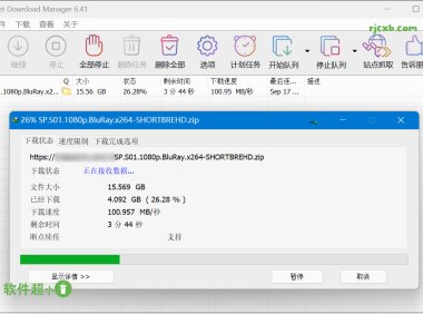 Internet Download Manager 6.42.10 (IDM下載器) 綠色版 – 奈斯科技軟體