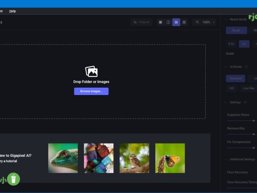 Topaz Gigapixel AI 7.1.2 (AI放大圖片) 英文綠色版 – 奈斯科技軟體
