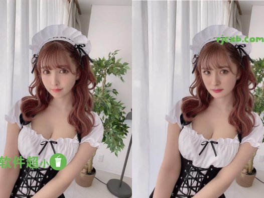 AI人臉替換工具 5.6 離線整合包 (AI換臉) 綠色版 – 奈斯科技軟體