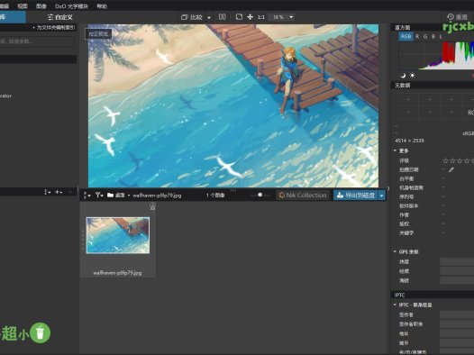 DxO PhotoLab 7.6.0 Build 189 綠色版 – 奈斯科技軟體