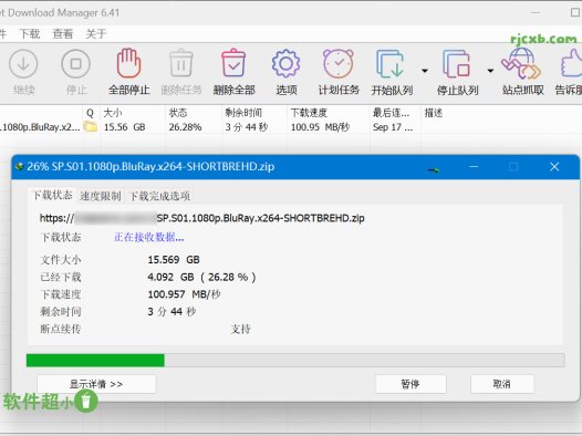 Internet Download Manager 6.42.10 (IDM下載器) 綠色版 – 奈斯科技軟體
